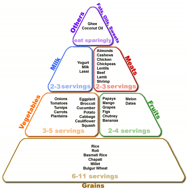 food pyramid